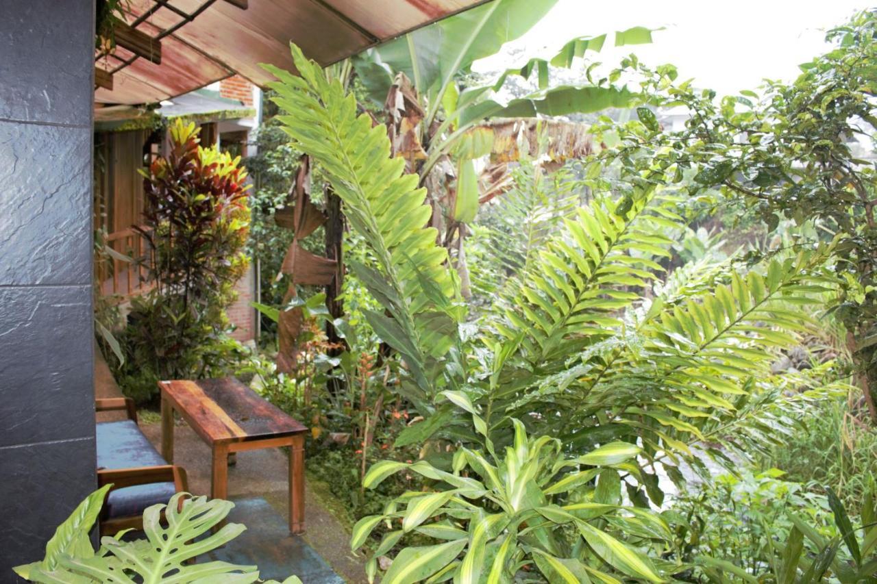 Hostal Zafiro Mindo Bagian luar foto